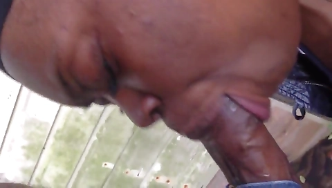 Two horny babes having fun