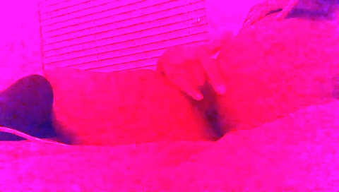 Sexy young blonde in a hot anal