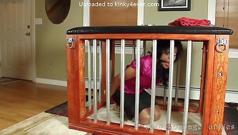 Sexy busty brunette with perfect body